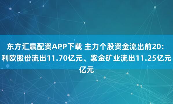 东方汇赢配资APP下载 主力个股资金流出前20: 利欧股份流出11.70亿元、紫金矿业流出11.25亿元