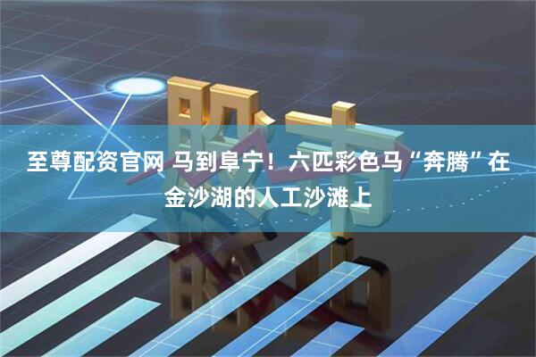 至尊配资官网 马到阜宁！六匹彩色马“奔腾”在金沙湖的人工沙滩上